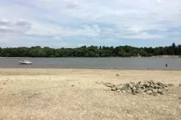 Videó