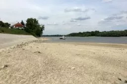 Videó