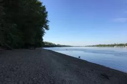Videó
