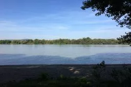 Videó