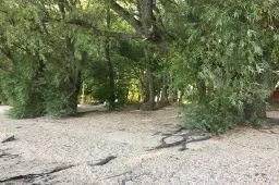 Videó