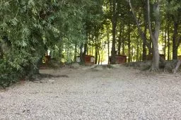 Videó