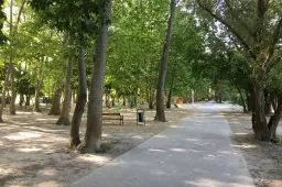 Videó