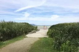 Videó