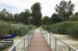Videó