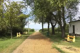 Videó