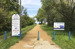Videó