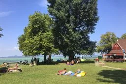 Videó