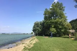 Videó