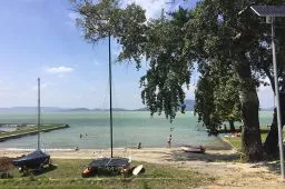 Videó