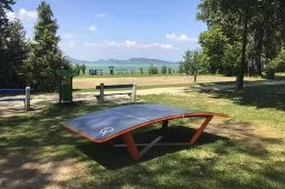 Videó
