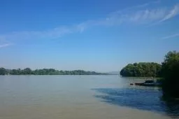 Videó