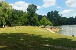 Videó