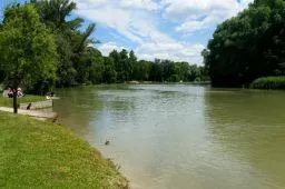 Videó