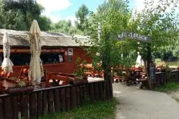 Videó