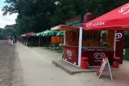 Videó