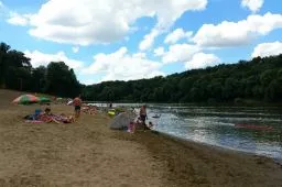 Videó
