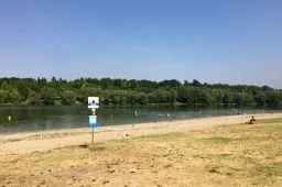 Videó