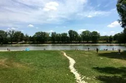 Videó