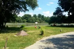 Videó
