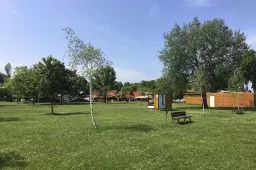Videó