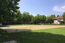 Videó