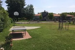 Videó