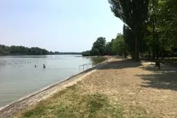 Videó