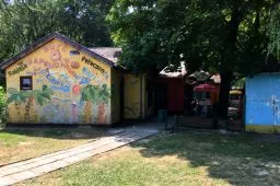 Videó