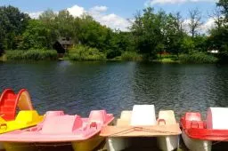 Videó
