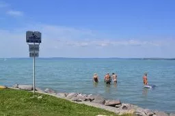Videó