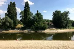 Videó