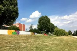 Videó