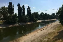 Videó