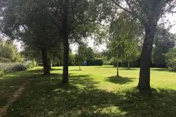 Videó