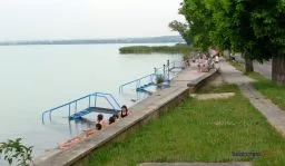 Videó