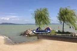 Videó