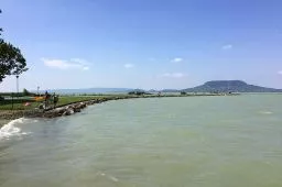 Videó