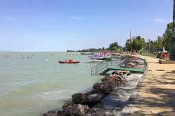 Videó