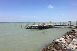 Videó