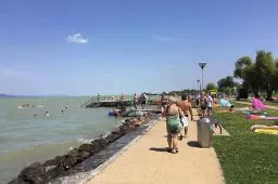 Videó