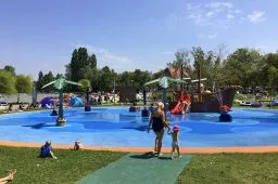 Videó