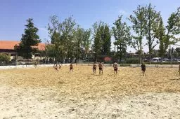 Videó