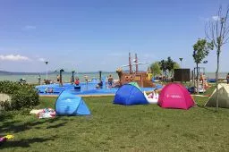 Videó