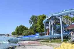 Videó