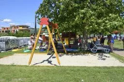 Videó