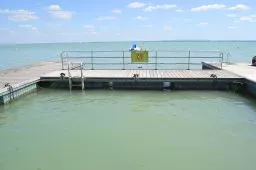 Videó