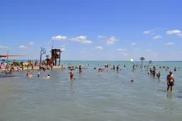 Videó
