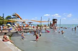 Videó