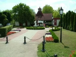 Videó